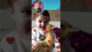 Funny Baby Reaction to Duckling - Em Bé và Chú Vịt Siêu Dễ Thương - #Shorts