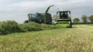 Silage 2015