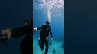 Safety stop hangs 🔱 🤿 Great Barrier Reef Australia