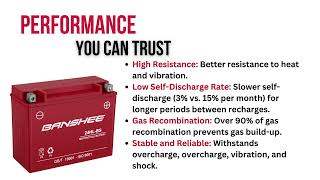 Banshee 24HL-BS AGM Motorcycle Battery with 4-Year Warranty and 350 CCAS!