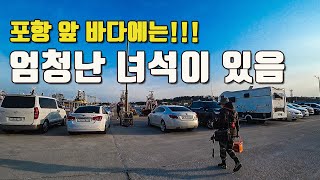 [다리tv] 돈 주고도 구하기 힘든 엄청난 녀석이 포항에 많아요!!!