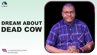 Dream About Dead Cow II Spiritual Meaning From Evangelist Joshua