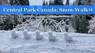 Burnaby Central Park Snow Walk in December, 2021 #walk Part 2/2