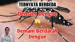 PERBEDAAN DEMAM DENGUE DENGAN DEMAM BERDARAH DENGUE | RECOMMENDED