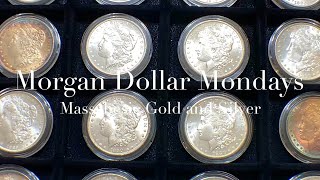 1886 P - MORGAN DOLLAR INFOMERCIAL - MORGAN DOLLAR MONDAYS with MASSABESIC GOLD and SILVER