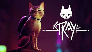 Stray – August 10, 2023 - Xbox