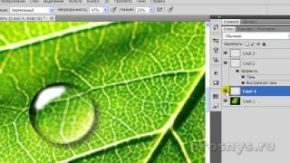 Реалистичная капля воды в Photoshope