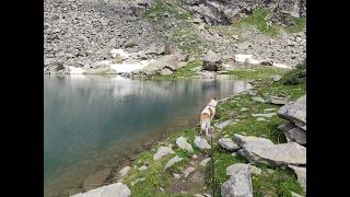 Escursione da Albone (Groscavallo) ai laghi di Unghiasse 24_07_2024