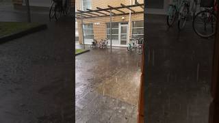 Опять ливень ☔️⛈⚡️ в городе Вааса лето выдалось дождливое в этом году. осень уже постепенно приходит