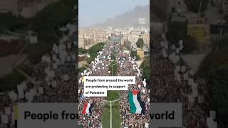 People From Around The World Are Protesting In Support Of PALESTINE | Stand With Palestine🇵🇸