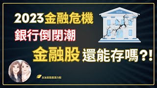 2023金融存股丨存金融股的迷思  避免在金融股上浪費時間與金錢(附中文字幕)丨女友說我是潛力股