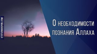 17. О необходимости познания Аллаха