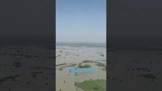 Flood in Dadu : 10 September 2022