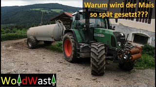 💩Gülle für den Mais🌽und späte Aussaat