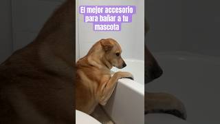 El mejor #accesorio para bañar a tu #mascota #hacks #gadgests #perros #baños #shorts