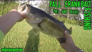 Fall Crankbait Fishing - Tips and Tricks!