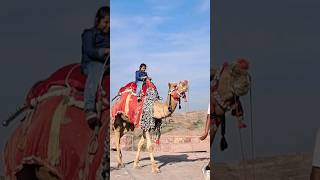 Camel ride #Aditri #Rajasthan #jodhpur #beautiful #shortvideos #youtubevideo