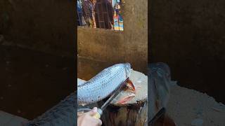 Amazing Rohu Fish Cutting Skills In Bangladesh Fish Market By Expert Cutter #shorts