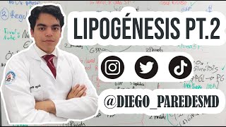 Lipogénesis PT.  2 - Bioquímica