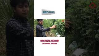 TRIVEO VLOG PROYEK MOJOKERTO! #viral #malangproperty