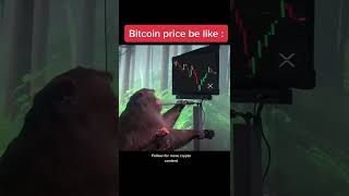 BITCOIN price be like