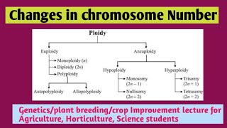 Polyploids|numerical chromosomal aberration|aneuploidy|euploidy|monosomy|nullisomy|trisomy|tetrasomy