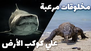 مخلوقات مرعبة على كوكب الأرض