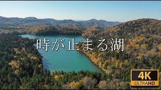 【時が止まる湖】北海道 オンネトーの空撮｜Hokkaido Blue