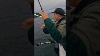 Two salmon one net! #fishing #fishinglife #salmon #pacificcoast #fishingboat #britishcolumbia