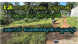 12സെന്റ് സ്ഥലം വില്പനക്ക് വയനാട്ബത്തേരി മുൻസിപ്പാലിറ്റി #land fore sale in wayanad