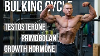 Bulking Steroid Cycle | Off Season Stack Design