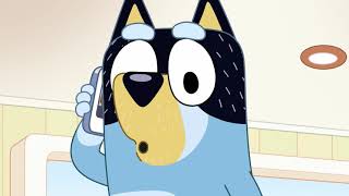 Bluey | Extrait | (S01E10)