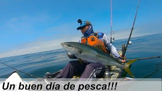 PESCA EN KAYAK- JUREL CON CARNADA VIVA- Yellowtail with live bait- Eng subtitles