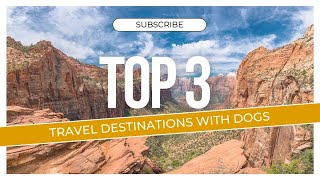 Top 3 Travel Destinations with Dogs  #subscribe  #travel #dog #new  #education #viral #inspiration