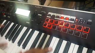 Korg Kross 2 Synthesizer Workstation || Sampling Demo 📢