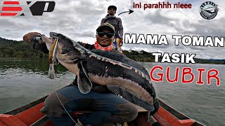 TOMAN TASIK GUBIR KEDAH