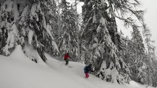 Austrian Powder Harvest