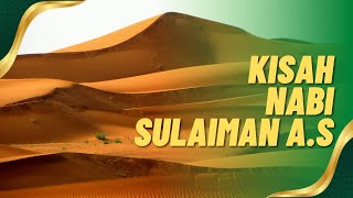 Kisah Nabi Sulaiman | Materi Baitul Arqam 1445 Hijriyah