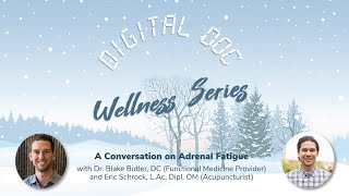 A Conversation on Adrenal Fatigue | WEBINAR