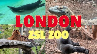 LONDON ZOO Walking Tour 2023 - England (4K)