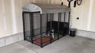 Value Dog Kennel with Built-In Potty Station - Perfect for Backyards & Garages!