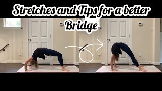 Stretches And Tips For A Better Bridge