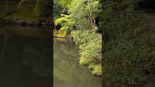 The Scenic Edo Japanese Garden