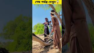 গাছের ভিতর টাকা | #viral #viralshort