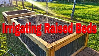 How to Irrigate a Raised Garden Bed: The Perfect Step-by-Step Guide