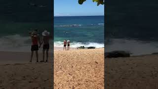 Beautiful beach on the North Shire of Oahu, Hawaii.