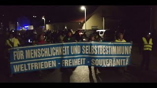 Flehingen Demo 03.02.2023