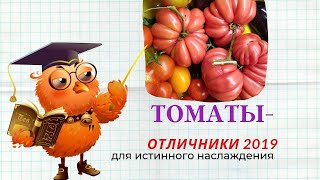 Томаты - отличники 2019