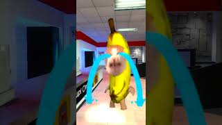 Bananacat In Pineapple Store #gmod 😺🍌🍍