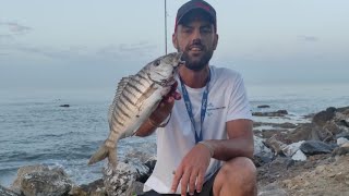 Pesca surfcasting ¡desde escollera! jornada entretenida